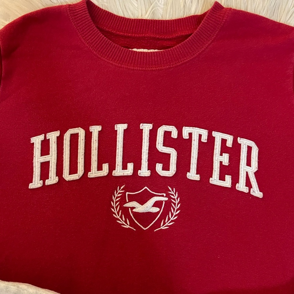Hollister | Sweatshirt Bundle - Picture 4 of 11